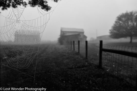 Spider Webbed Barn